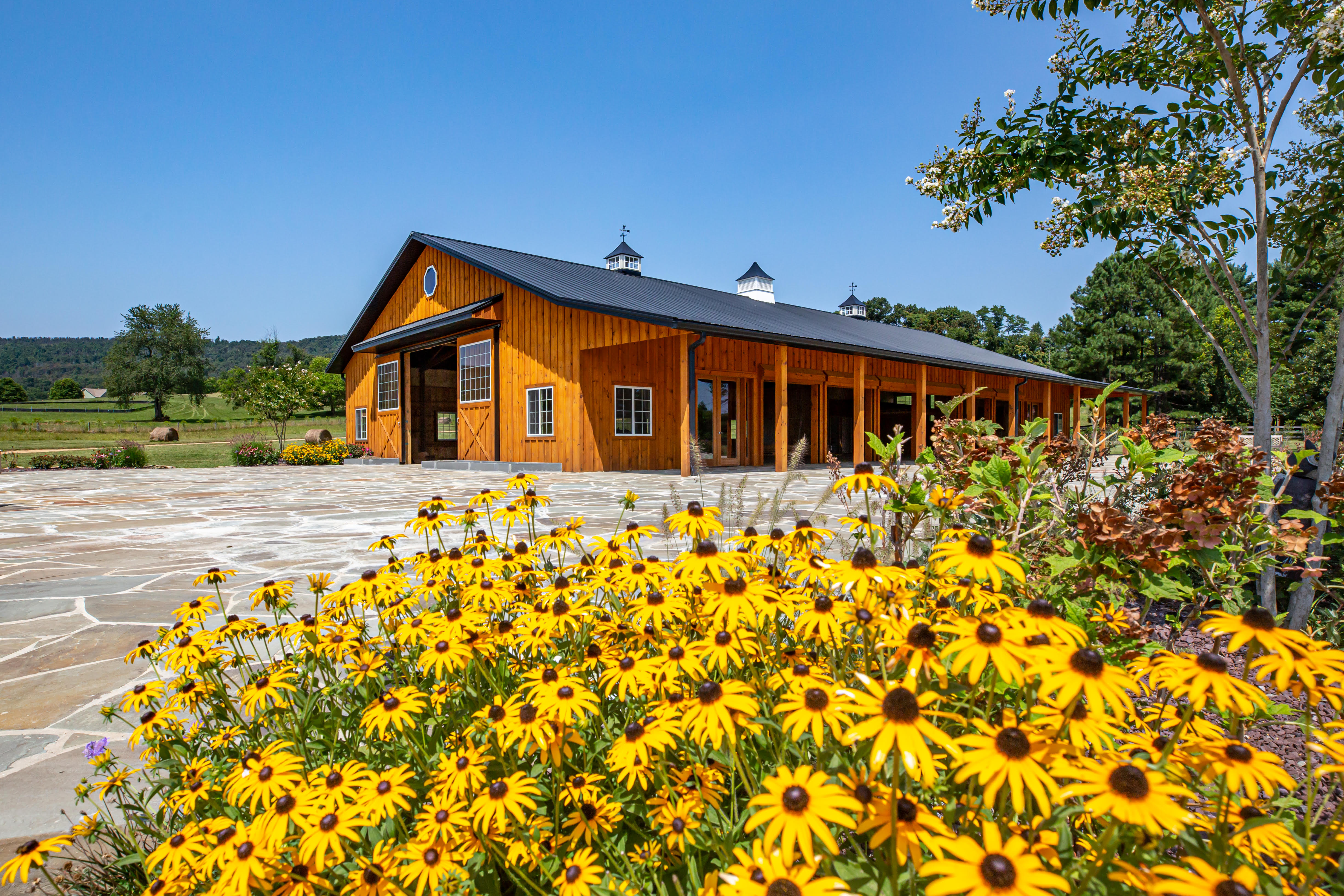 Gordon Springs Our Setting Flowers