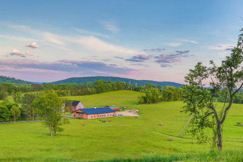 GalleryPropertyV