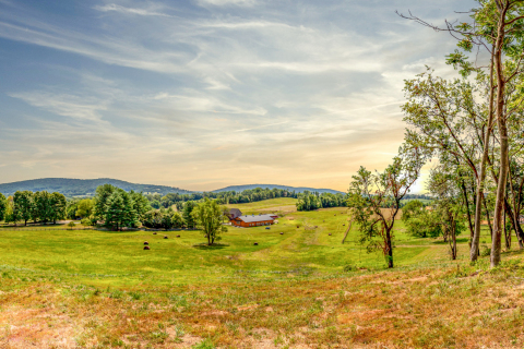 W69A2465-Pano
